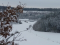2010 Winterwanderung (25)
