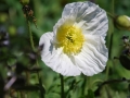 Eindrücke bei Sonnenschein