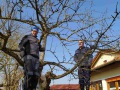 IMG_20220319_093912