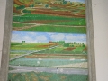 DSCN8469