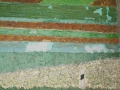 DSCN8472